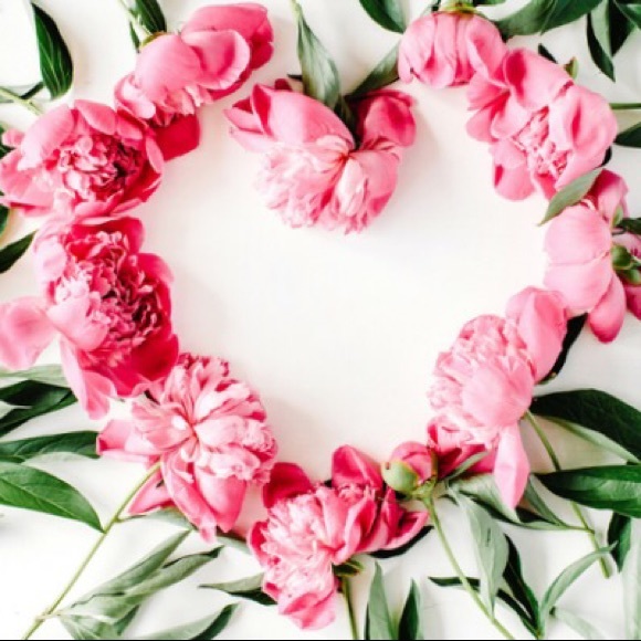 Meet your Posher, Alexandria - Picture 1 of 1